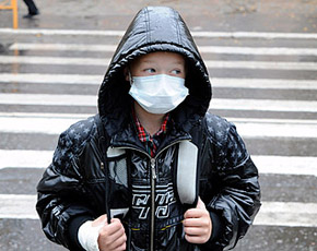 Свиной грипп. Фото из сайта gzt.ru