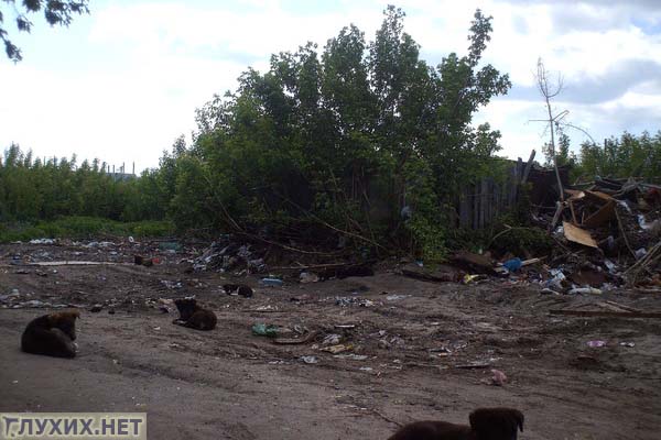 Дом глухой старушки обещают снести 13 лет спустя после признания его аварийности. Фото Татьяны Нужиной Дом глухой старушки обещают снести 13 лет спустя после признания его аварийности. Фото Татьяны Нужиной
