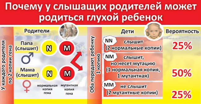 Почему у слышащих родителей может родиться глухой ребёнок Почему у слышащих родителей может родиться глухой ребёнок