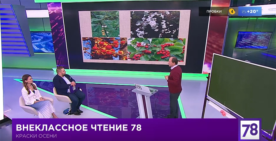 Внеклассное чтение. Кадр телеканала 78 Внеклассное чтение. Кадр телеканала 78